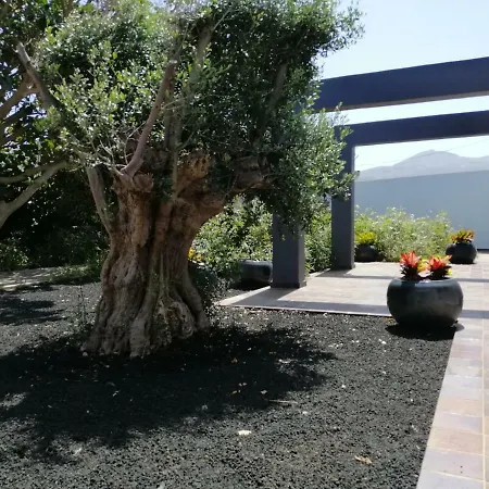 Villa La Casa Del Pastor Gáldar